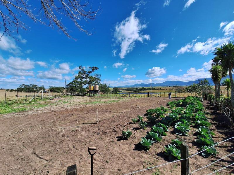 4 Bedroom Property for Sale in George Rural Western Cape